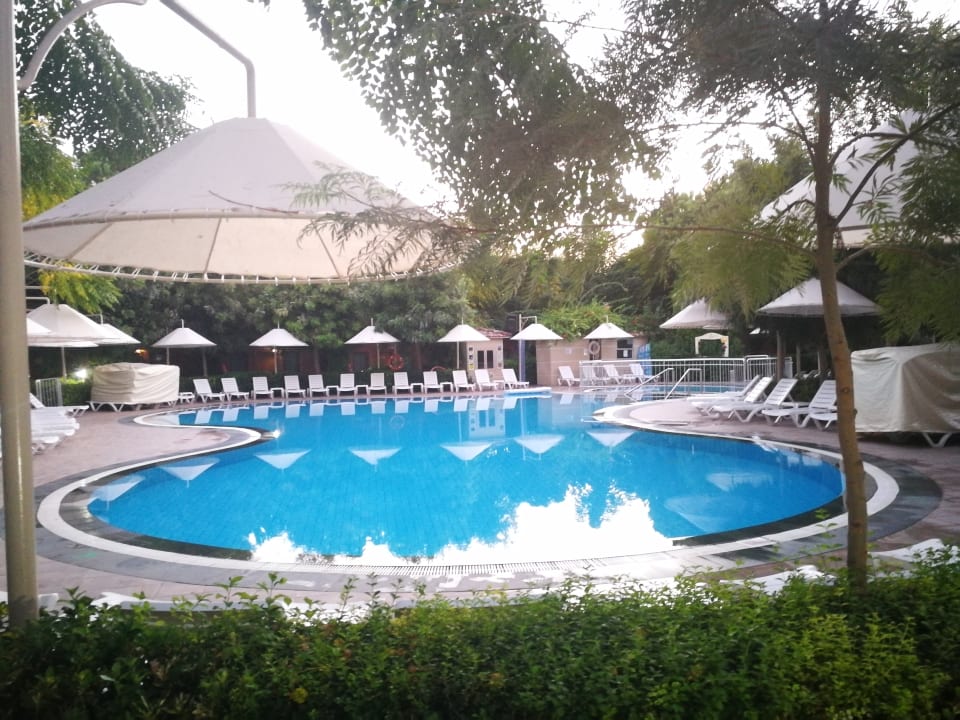 Pool Can Garden Beach