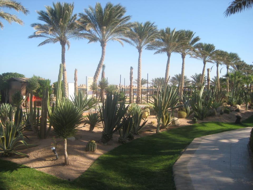 Anlage TUI MAGIC LIFE Redsina Sharm El Sheikh