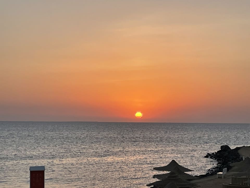 Ausblick Desert Rose