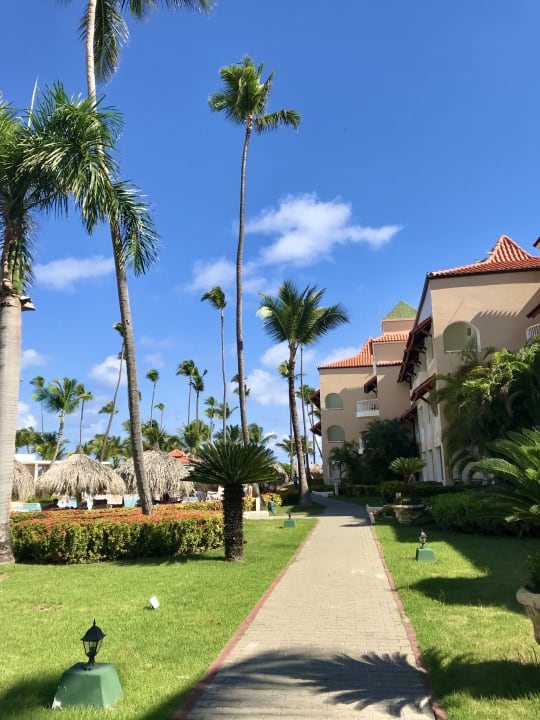 Gartenanlage TRS Turquesa Hotel - Adults only