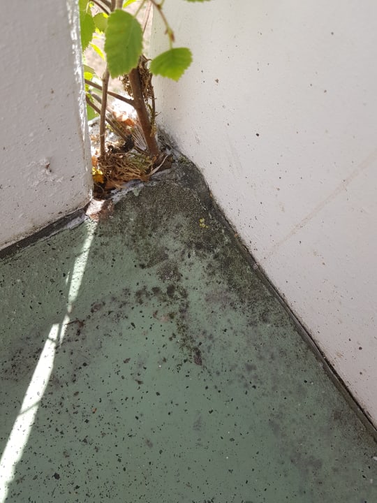 Zimmer Ferienwohnungen Ferienpark Weissenhäuser Strand