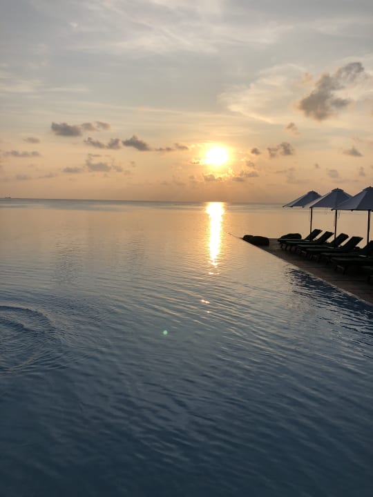 Pool Summer Island Maldives