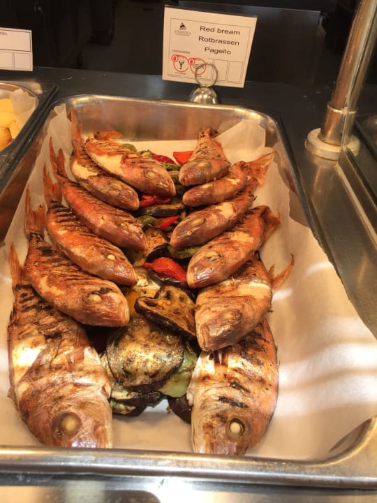 Gastro Porto Bello Royal