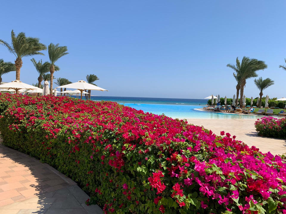 Pool Baron Palace Sahl Hasheesh