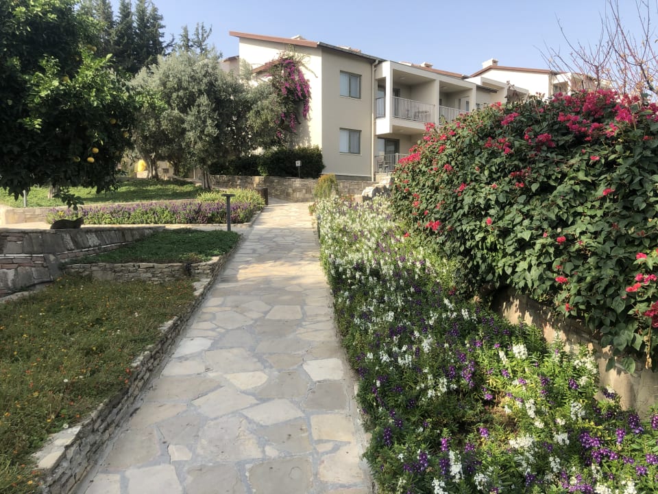 Gartenanlage Arum Barut Collection