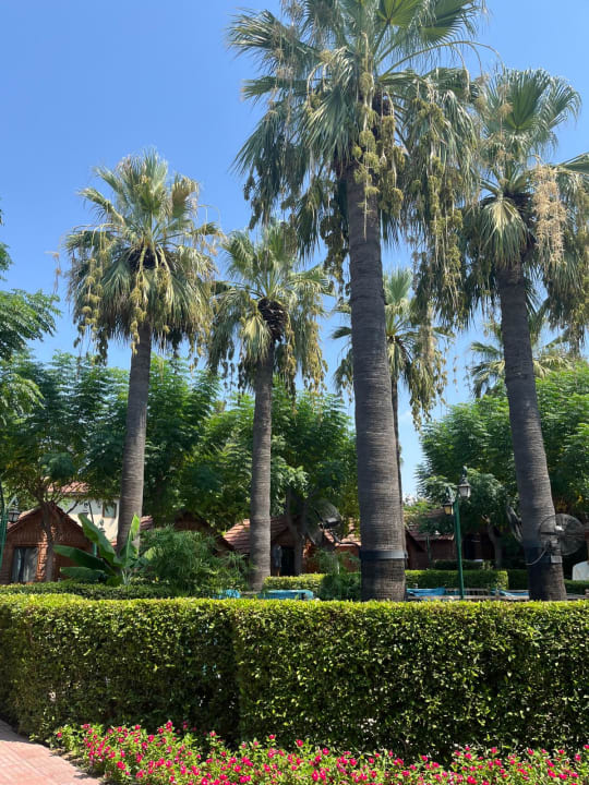 Gartenanlage Can Garden Beach