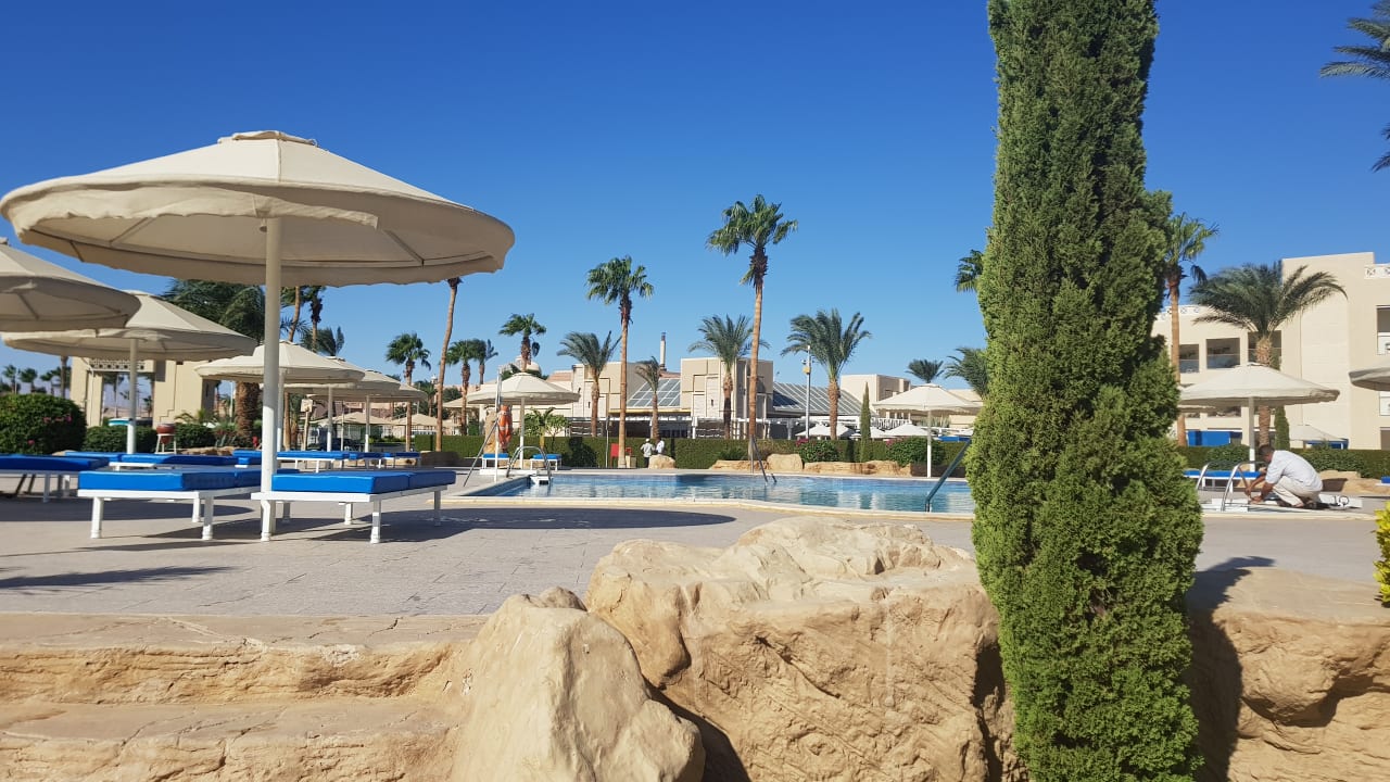 Pool Beach Albatros Resort