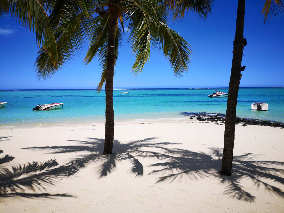 "Strand" LUX Le Morne (Le Morne) • HolidayCheck (Mauritius Südküste ...