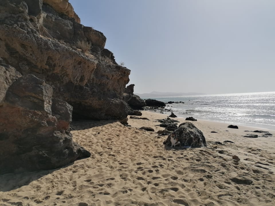 Strand R2 Pajara Beach