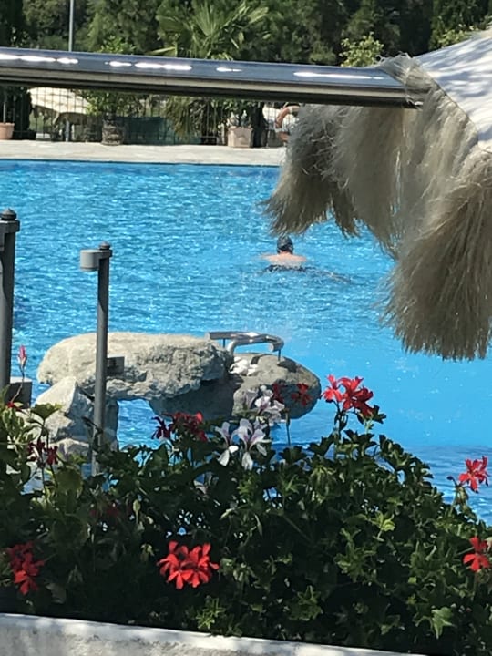 Pool Weinegg Wellviva Resort