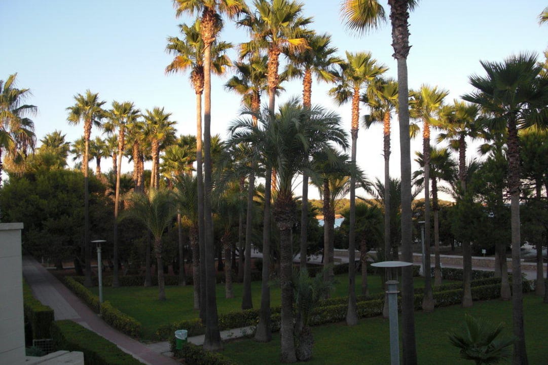 Garten Hipotels Mediterraneo Club