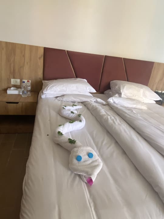 Zimmer Stella Beach Resort & Spa Makadi Bay