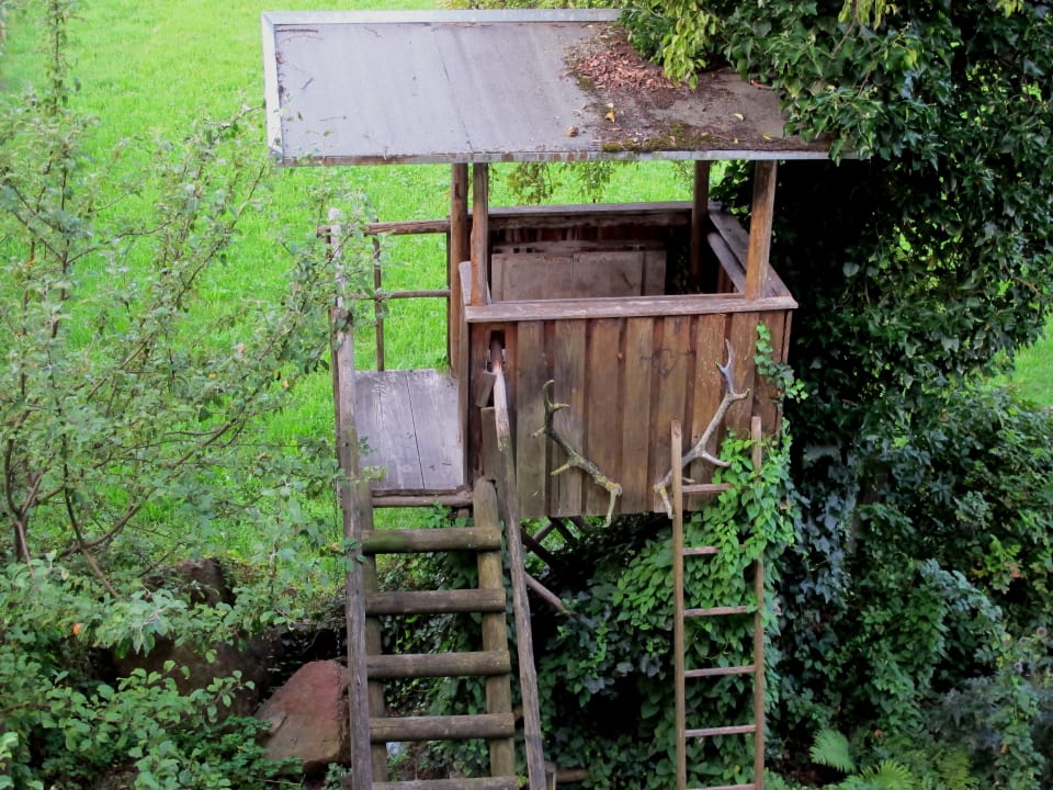 Gartenanlage Hotel Forsthaus