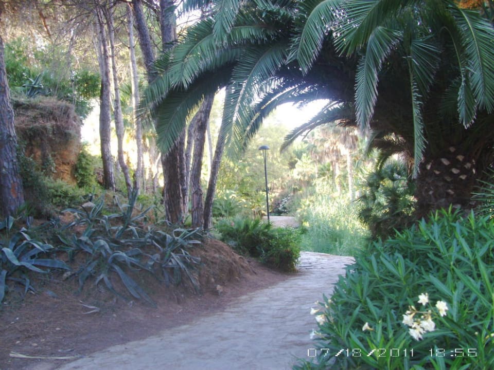 Promenadenbereich Hapimag Resort Marbella