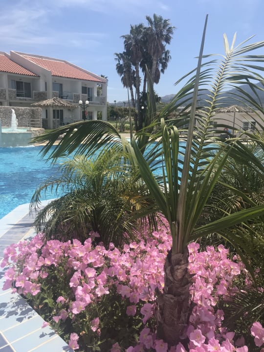 Pool Ilios K Village Resort