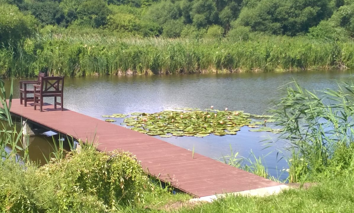 Gartenanlage Siedlisko Orlik - Villa Orlik