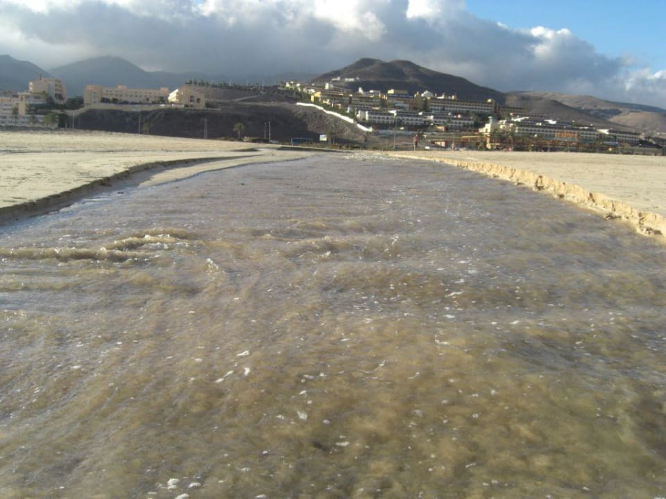 Blick vom Meer Occidental Jandía Mar