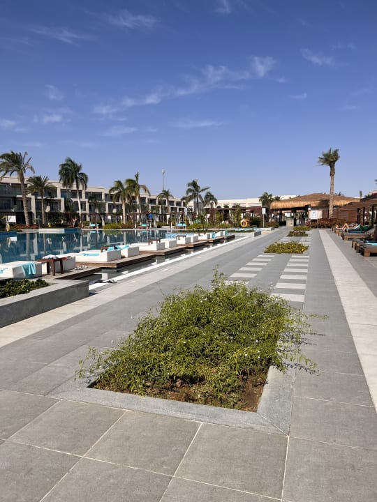 Pool Steigenberger Resort Ras Soma