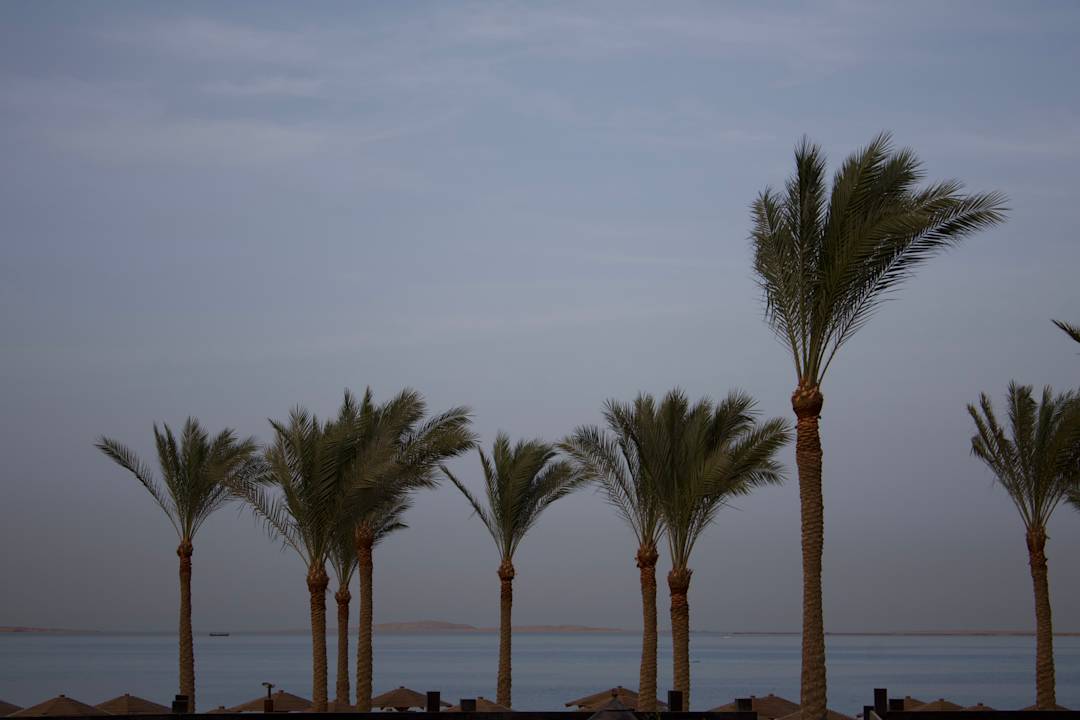 Strand Steigenberger ALDAU Beach Hotel