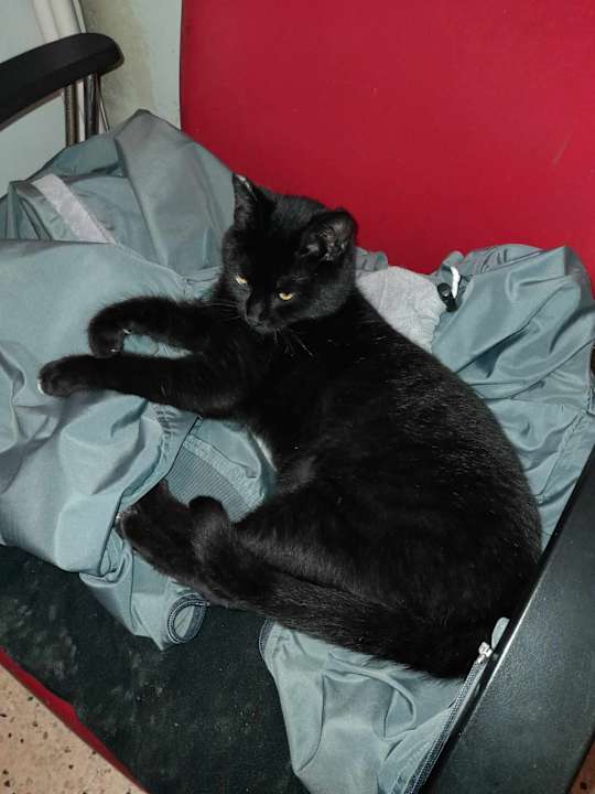 Sonstiges Mary Hotel Side