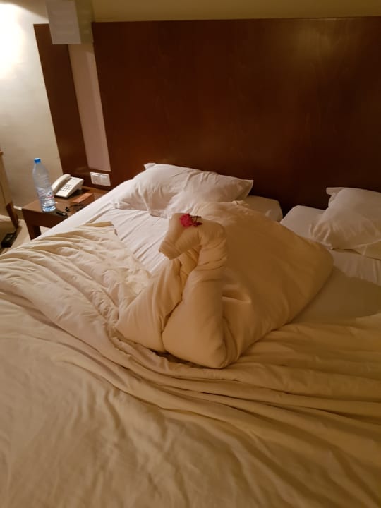 Zimmer Vincci Helios Beach