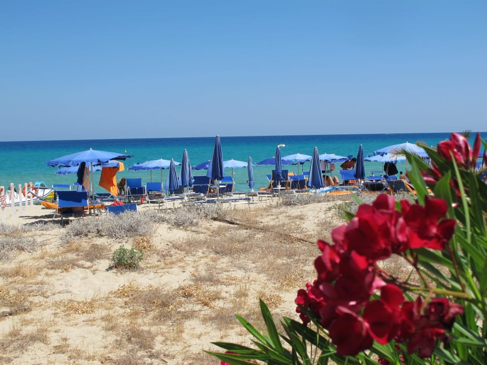 Nur wenige Minuten zu Fuss enrfernt Hotel Garden Beach Cala Sinzias