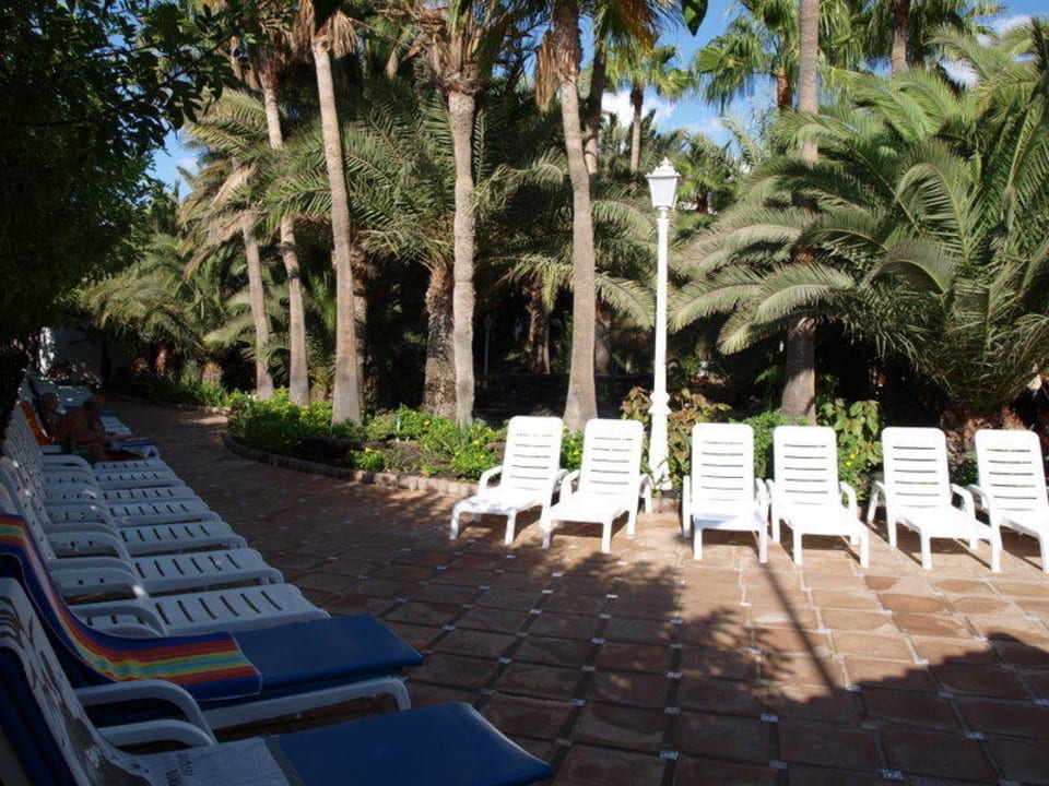 Liegebereich hinter dem Pool Hotel Parque Tropical