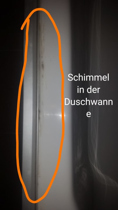 Zimmer Seaden Sea World Resort & Spa