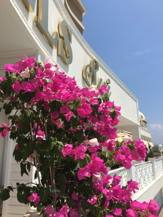 Sonstiges Oz Hotels Sui Resort