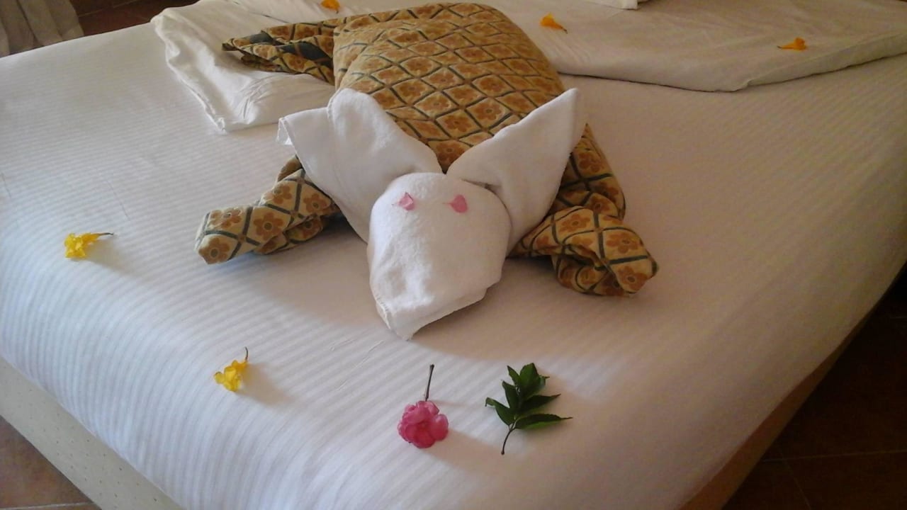 Unser Zimmerboy War kreativ jeden Tag Pickalbatros Aqua Vista Resort - Hurghada