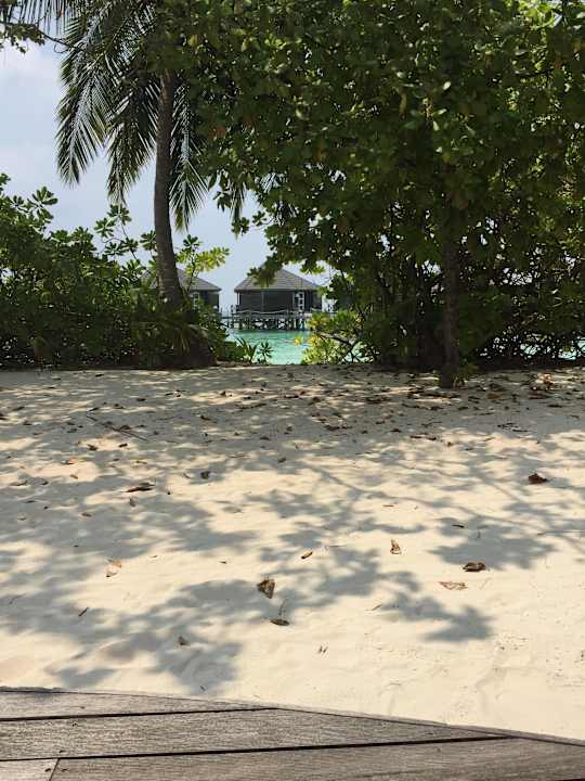 vor unserem Bungalow  Kuredu Island Resort & Spa