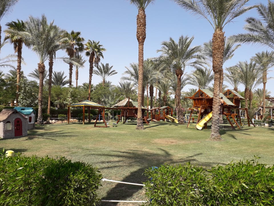 Sport & Freizeit JAZ Fayrouz