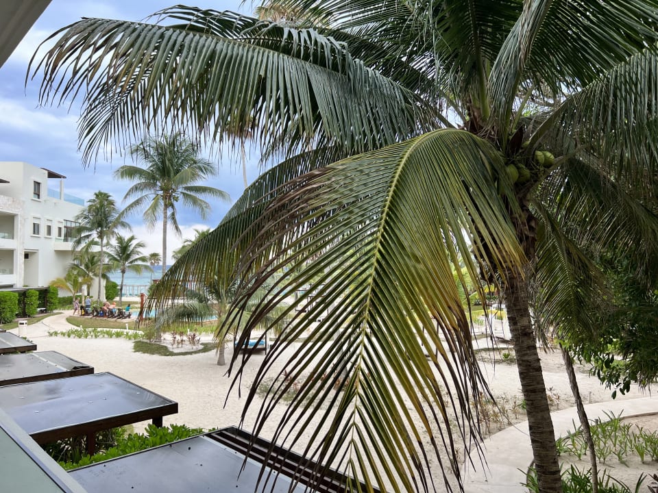 Außenansicht Akumal Bay Beach & Wellness Resort