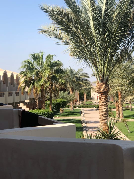 Gartenanlage Three Corners Sea Beach Resort