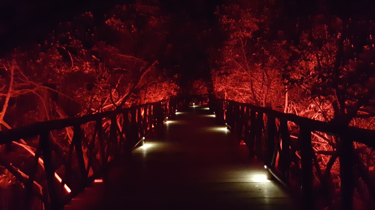 Gartenanlage Catalonia Royal Tulum Beach & Spa Resort - Adults only