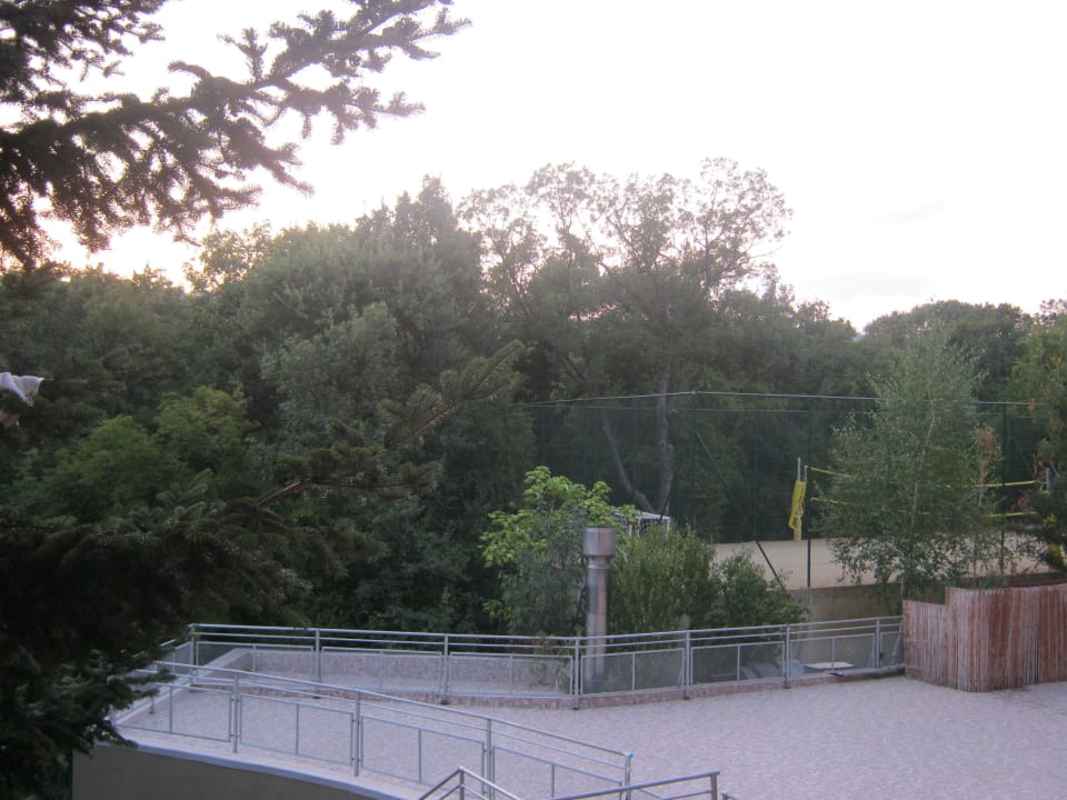 Volleyball- und Fußballfeld (vom Zimmer aus) HVD Viva Club Hotel