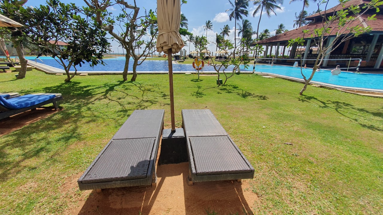 Pool Club Hotel Dolphin