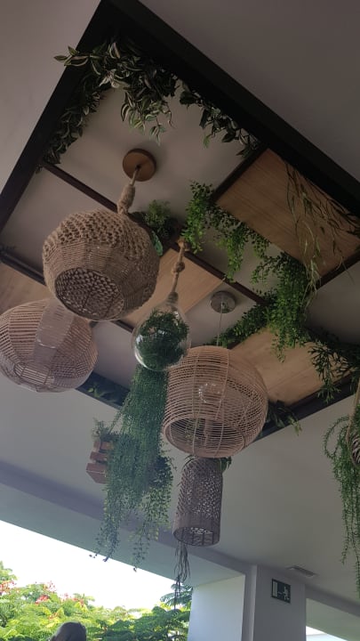 Sonstiges allsun App.-Hotel Albatros