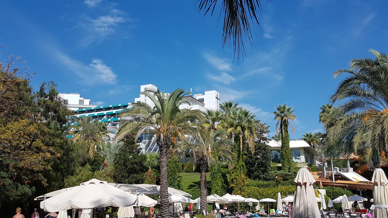 Strand Side Star Elegance