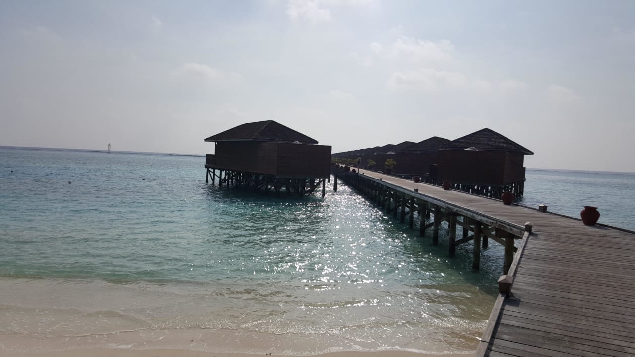 Steg Wasservillen Meeru Maldives Resort Island