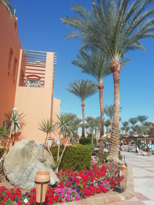 Gartenanlage  Jaz Makadi Oasis Resort