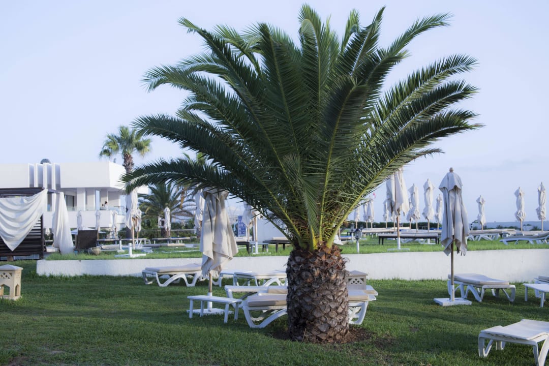 Morgens um sechs Iberostar Selection Diar El Andalous