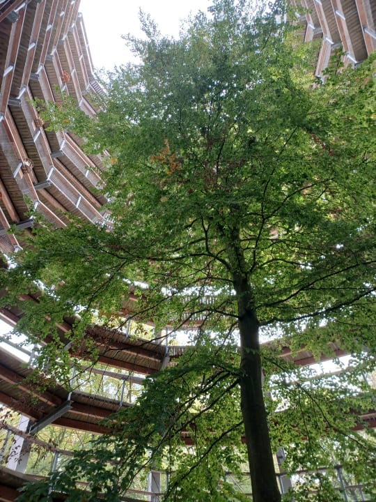 Sonstiges Ferienwohnungen Elisenhof