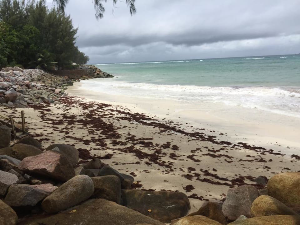Strand Castello Beach Hotel