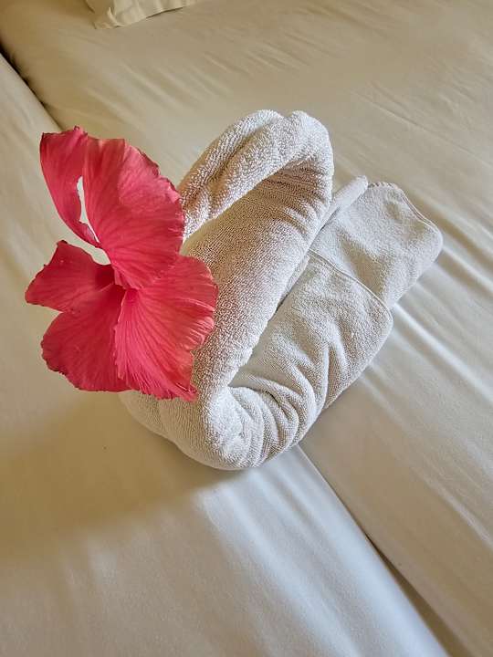 Zimmer Caribbean World Thalasso Djerba