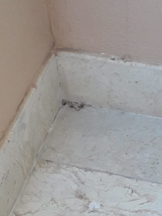 Zimmer Continental Hotel Hurghada