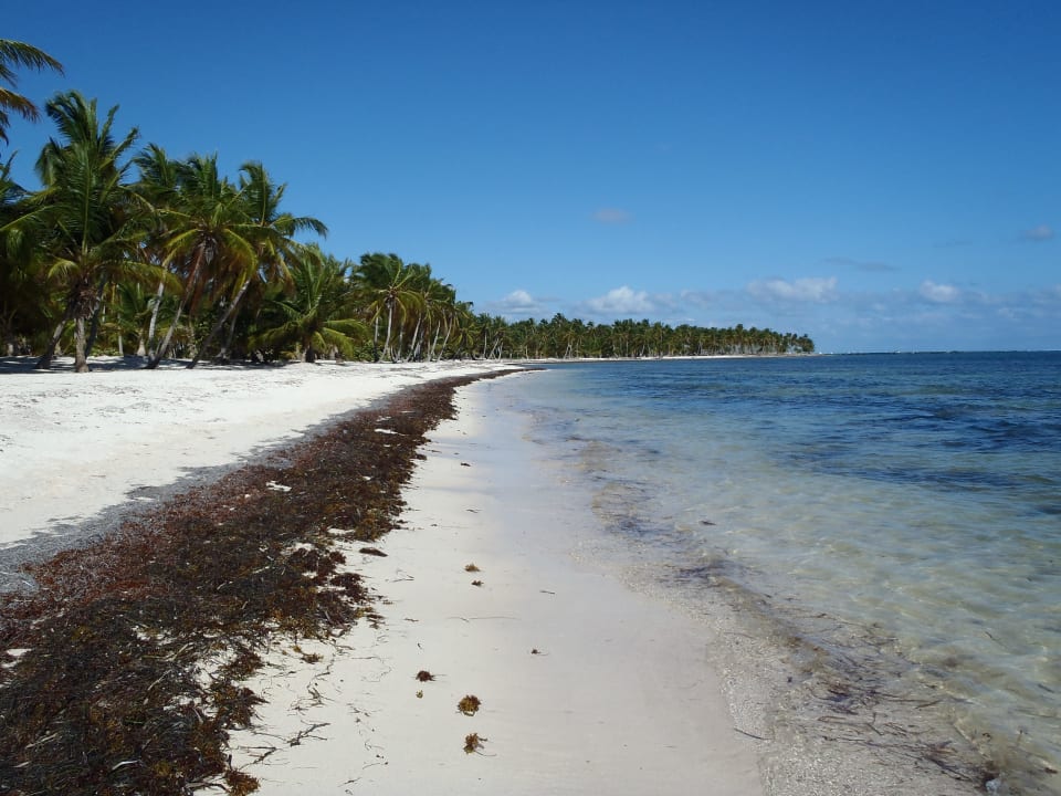 Links & rechts Catalonia Punta Cana - All Inclusive