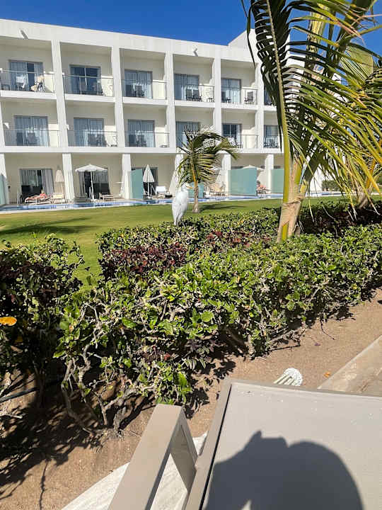 Außenansicht Hotel Riu Palace Santa Maria