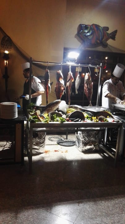Gastro Pickalbatros Palace Resort