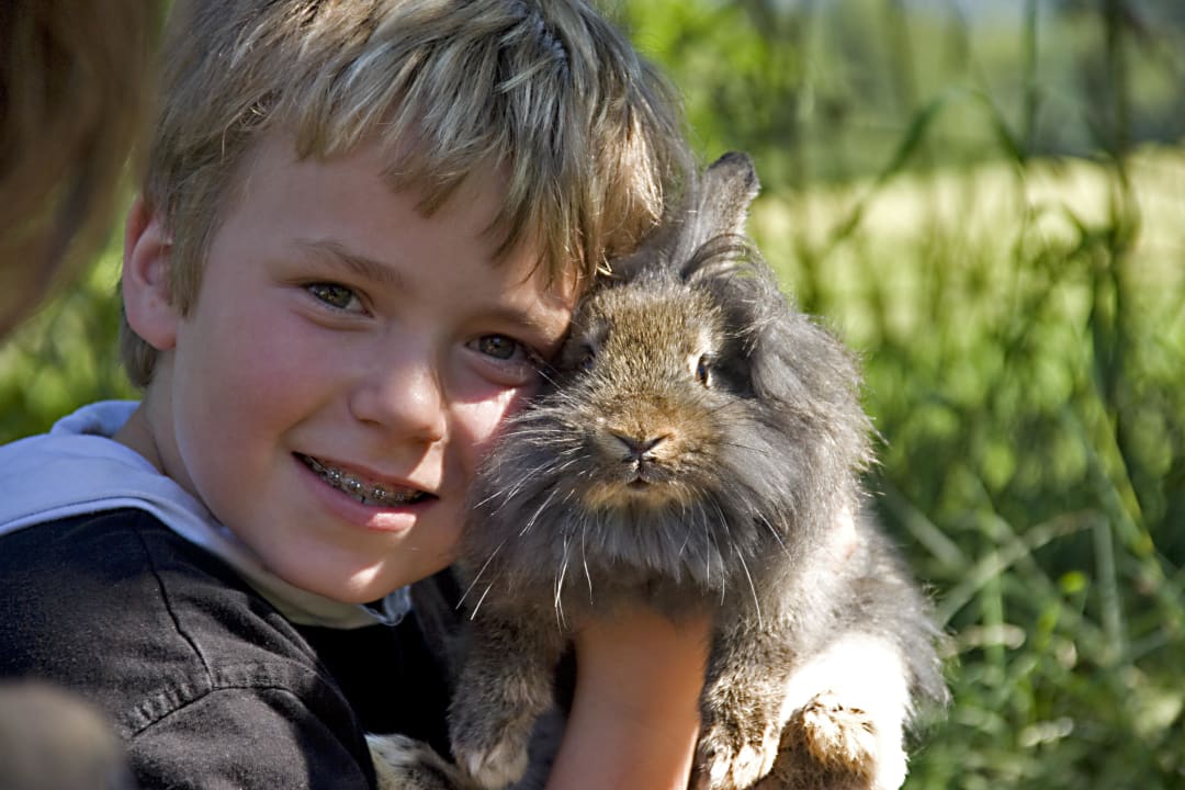 Kind mit Hase Kressenlehen FeWo